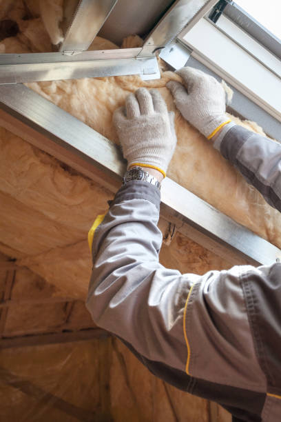 Best Insulation Maintenance and Repair in Ville Ptte, LA