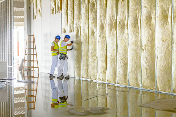 Best Commercial Insulation in Ville Ptte, LA